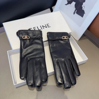 2023.12.25 Celine Gloves 006