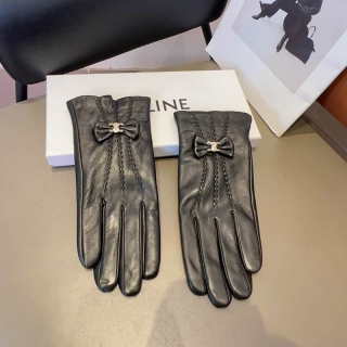 2023.12.25 Celine Gloves 005