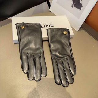 2024.01.12 Celine Gloves 008